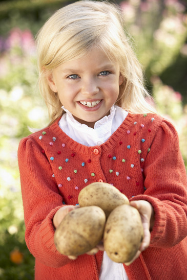 Young girl posing with potatoes in garden